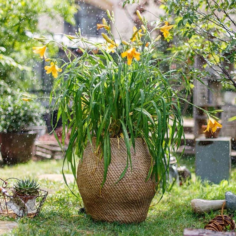 Large Basket Cement Pot Backyard Planter - -