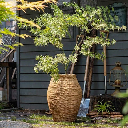 Large Basket Cement Pot Backyard Planter - -