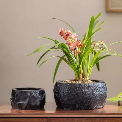 Mesa Cement Pot Planter - -