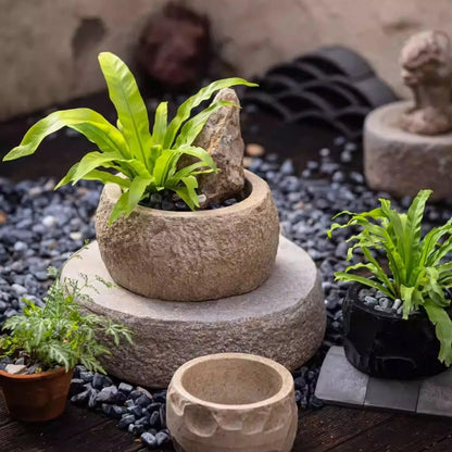 Mesa Cement Pot Planter - -
