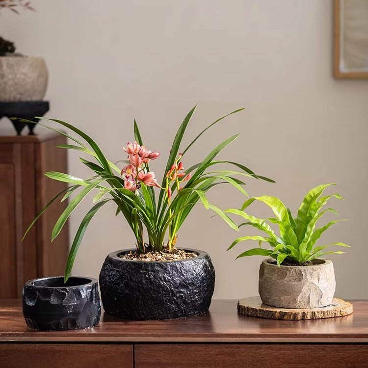 Mesa Cement Pot Planter - -