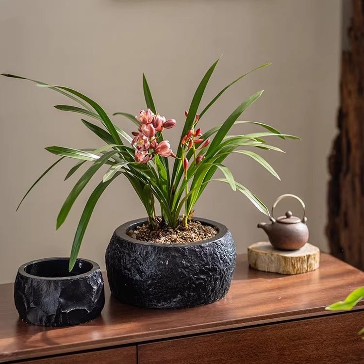 Mesa Cement Pot Planter - -