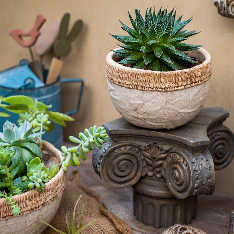Rattan Pattern Edge Cement Planter - -