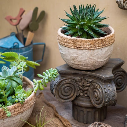 Rattan Pattern Edge Cement Planter - -