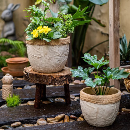 Rattan Pattern Edge Cement Planter - -