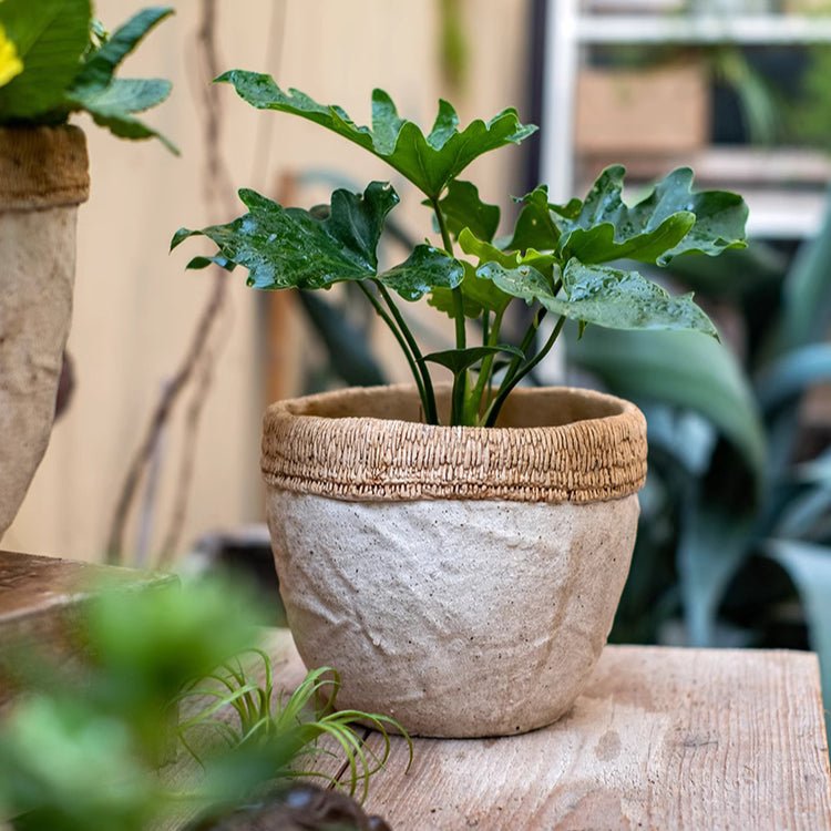Rattan Pattern Edge Cement Planter - -