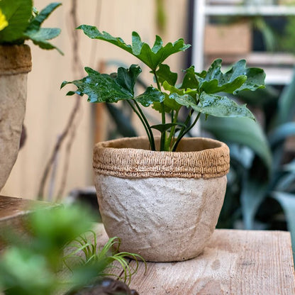 Rattan Pattern Edge Cement Planter - -