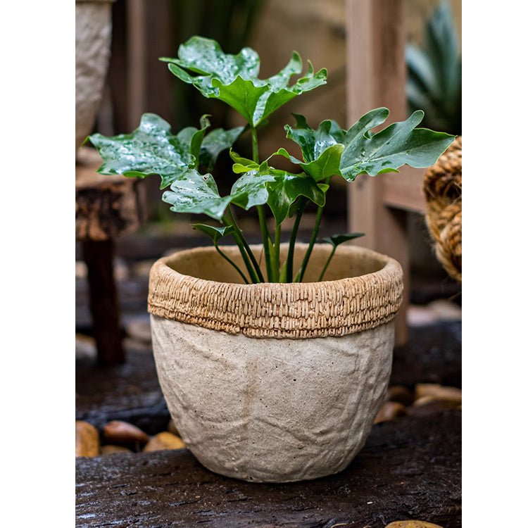 Rattan Pattern Edge Cement Planter - -
