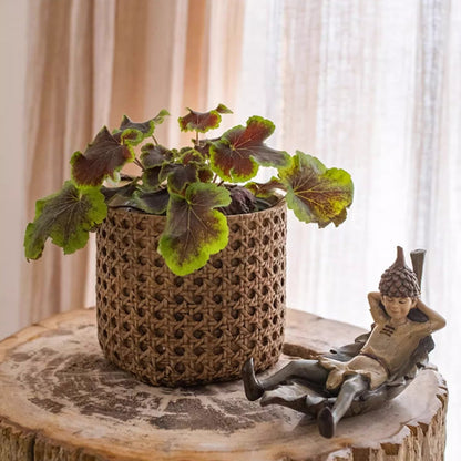Rattan Texture Cement Planter - -