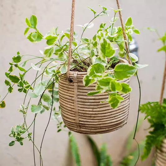 Faux Rattan Cement Hanging Planter - Small - planter