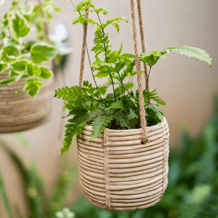 Faux Rattan Cement Hanging Planter - -