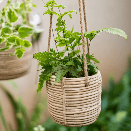 Faux Rattan Cement Hanging Planter - Large - planter