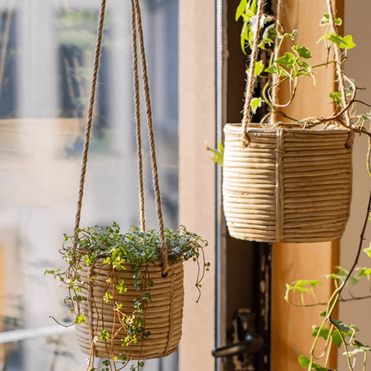 Faux Rattan Cement Hanging Planter - -