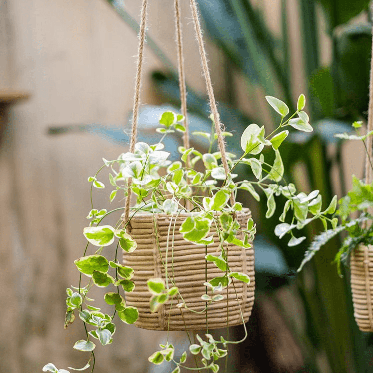Faux Rattan Cement Hanging Planter - -