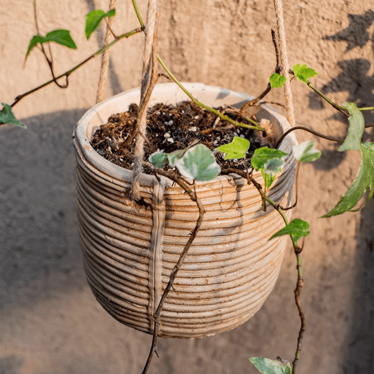 Faux Rattan Cement Hanging Planter - -