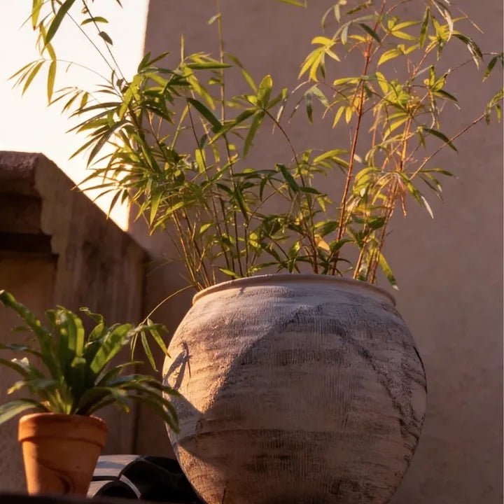 Sierra Round Pot Planter - -