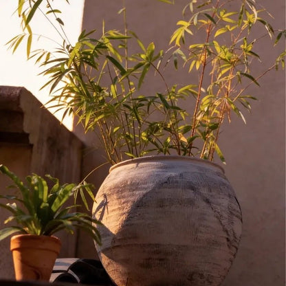 Sierra Round Pot Planter - -