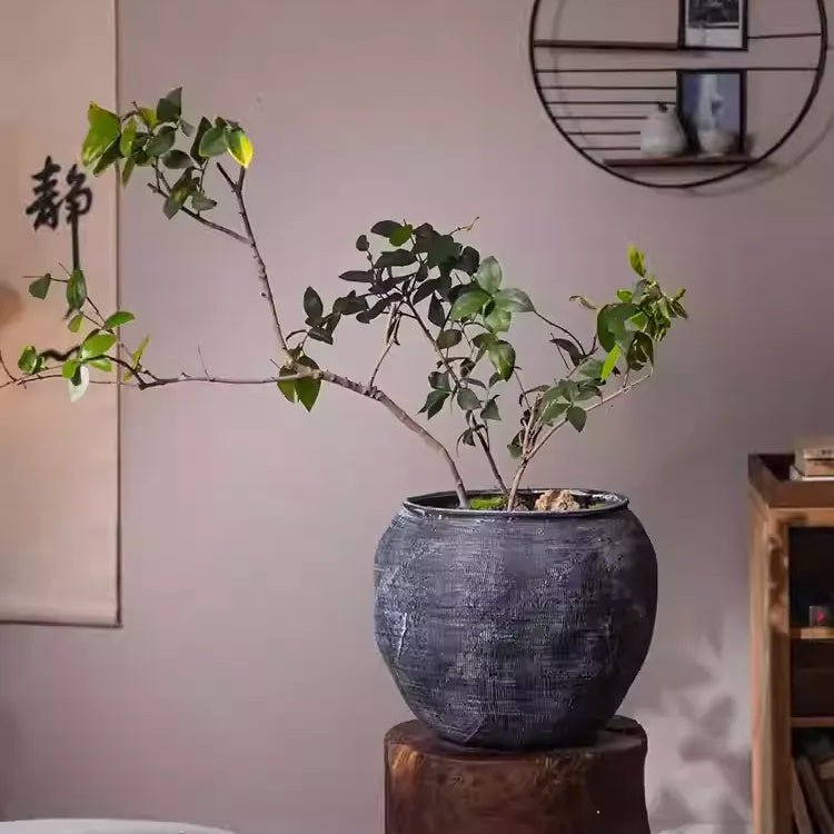 Sierra Round Pot Planter - -