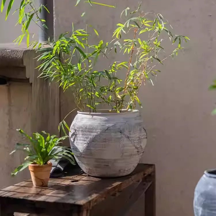Sierra Round Pot Planter - -