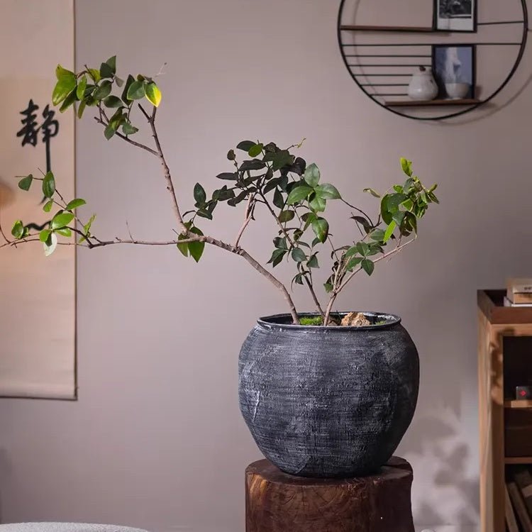Sierra Round Pot Planter - -