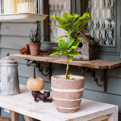 Tasha Red Terracotta Planter - -