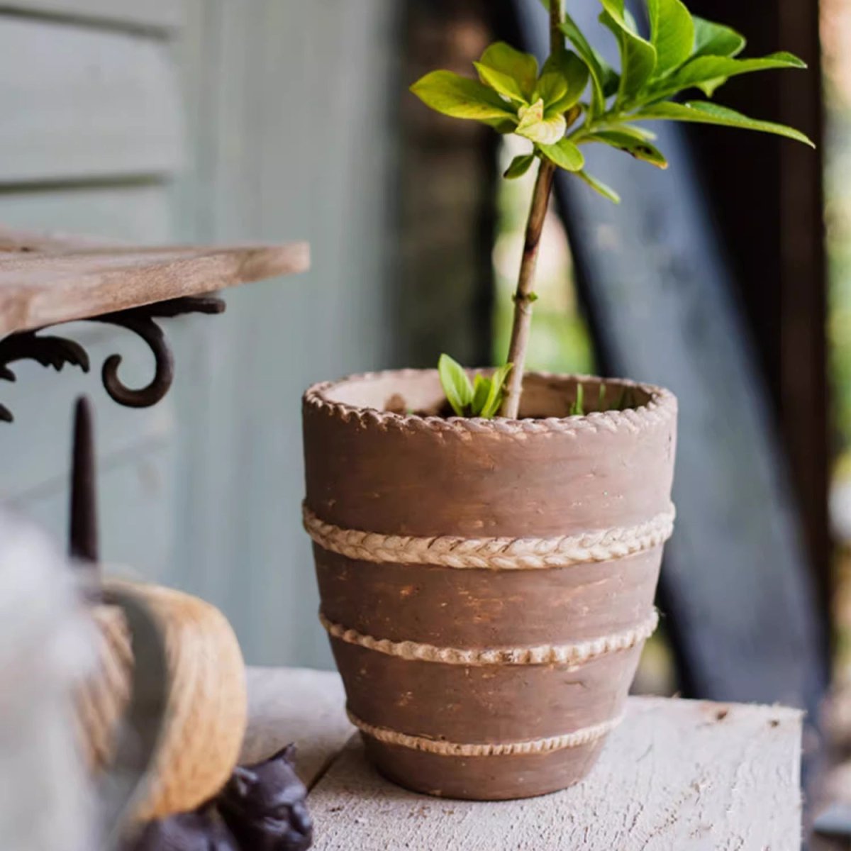 Tasha Red Terracotta Planter - -