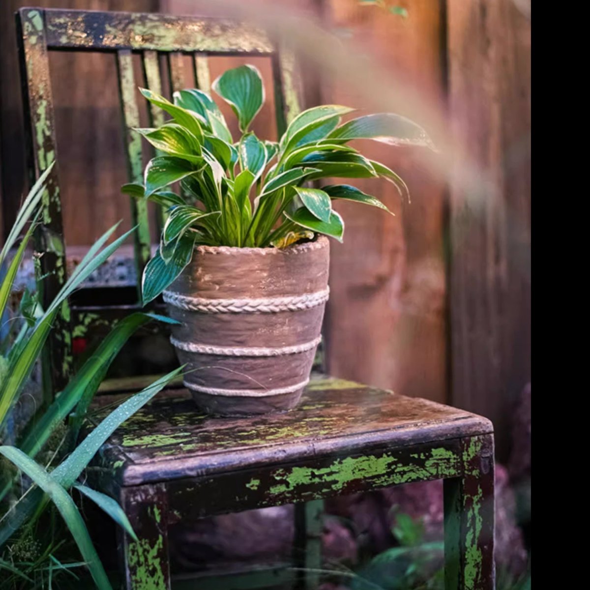 Tasha Red Terracotta Planter - -