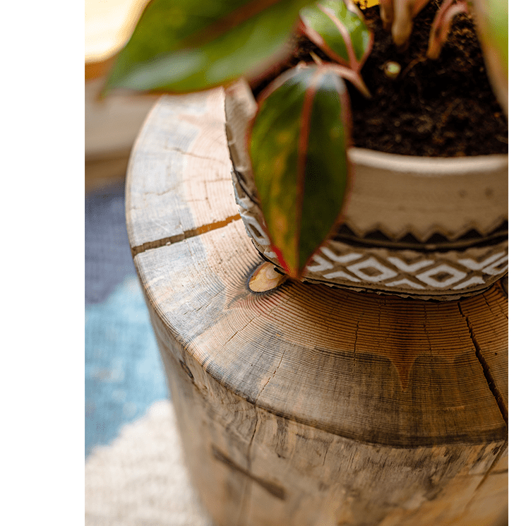 Pine Wood Pedestal Table Side Table - -
