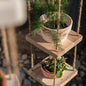 Wooden Rope Hanging Plant Shelf - Natural -