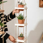Wooden Rope Hanging Plant Shelf - White -