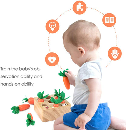 Wooden Toys for Toddlers Kia Day Design