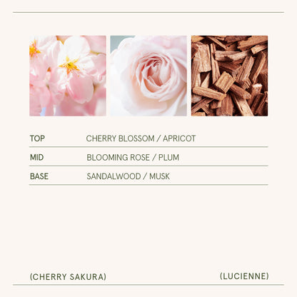 Lucienne - Cherry Sakura Candle - - candle