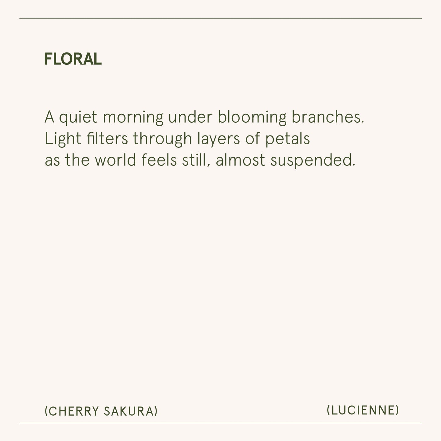 Lucienne - Cherry Sakura Candle - - candle