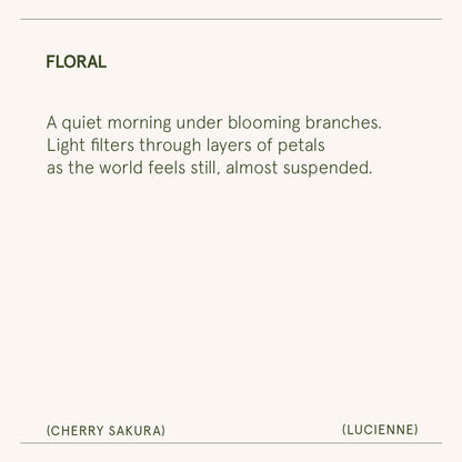Lucienne - Cherry Sakura Candle - - candle