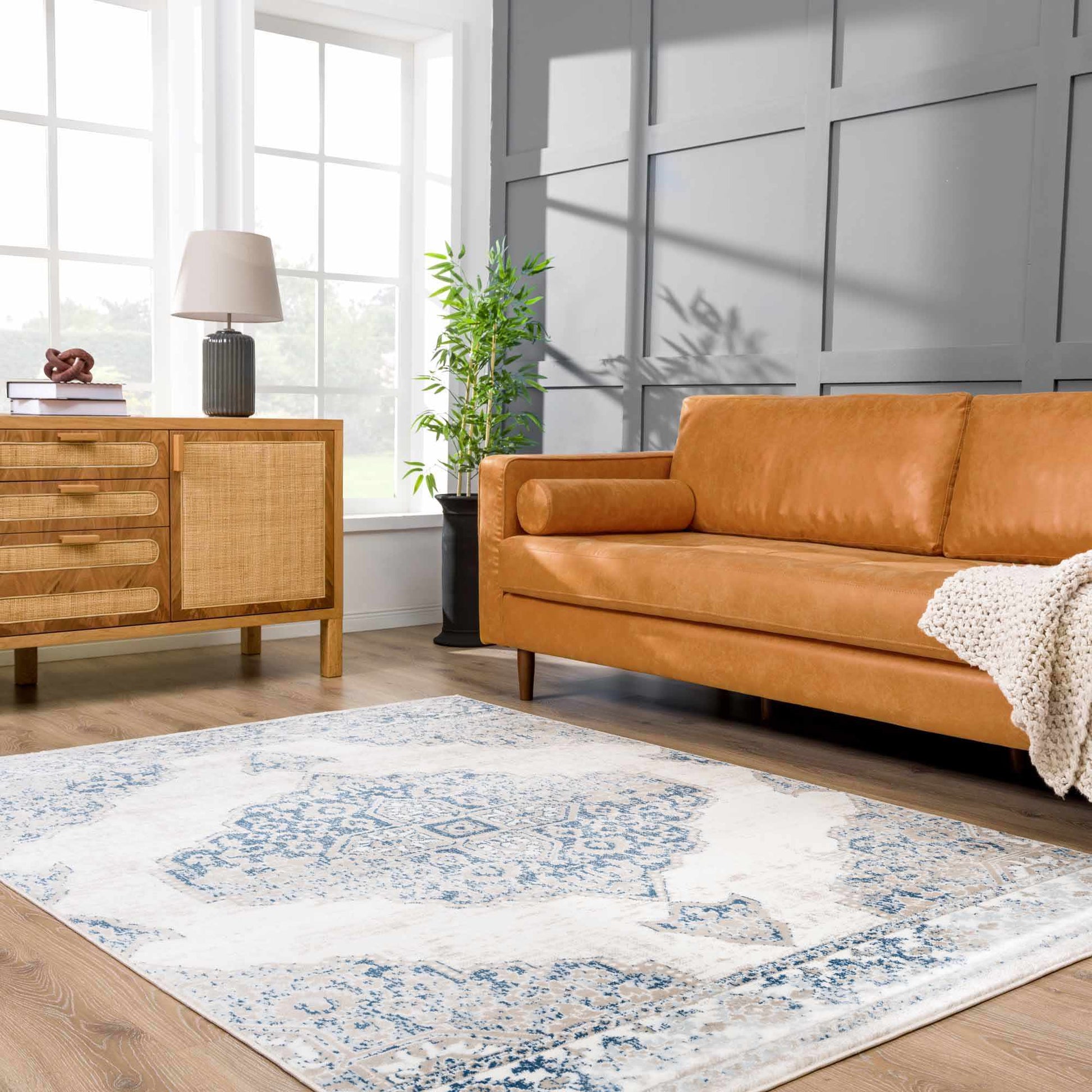 Amir Area Rug - - Rugs