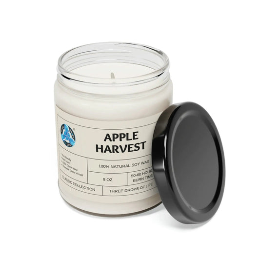 Apple Scented Soy Candle 9oz - Kia Day Design
