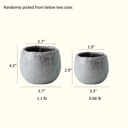 Crackle Glazed Succulent Pot Randomly Picked Set of 5 - -