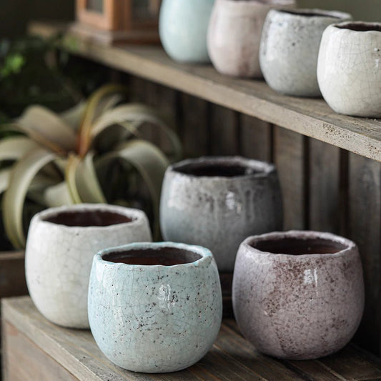 Crackle Glazed Succulent Pot Randomly Picked Set of 5 - - planter