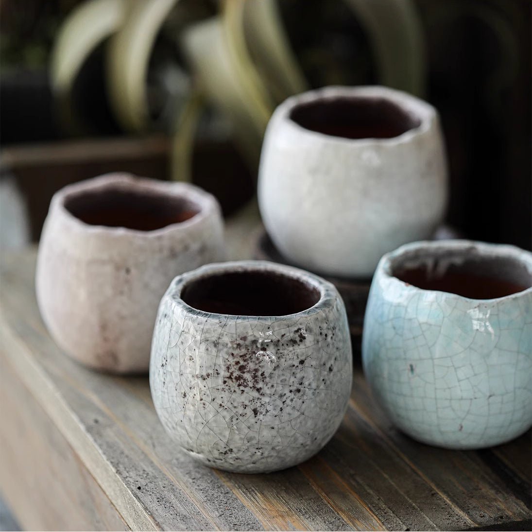 Crackle Glazed Succulent Pot Randomly Picked Set of 5 - -