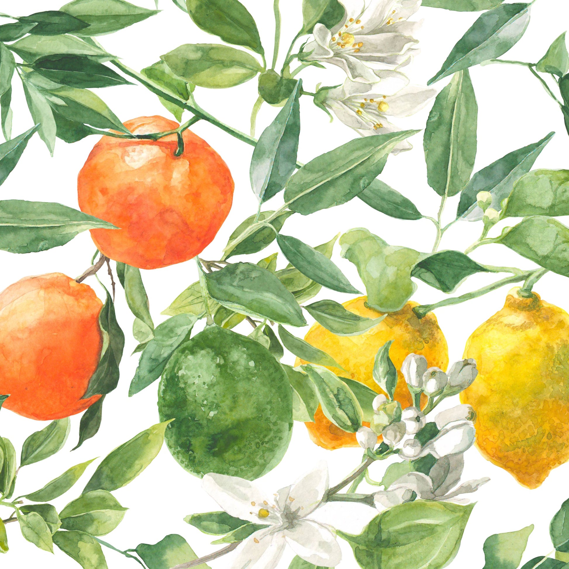 Mediterranean Wallpaper - - Wallpaper