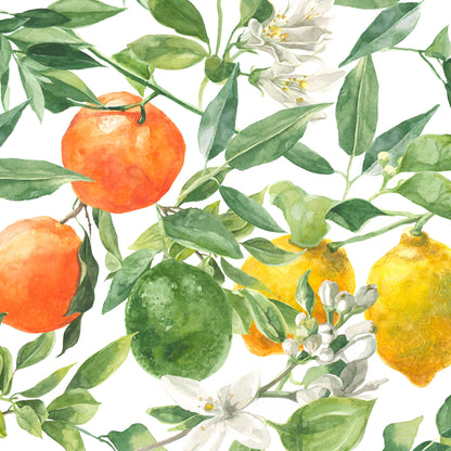 Mediterranean Wallpaper - - Wallpaper