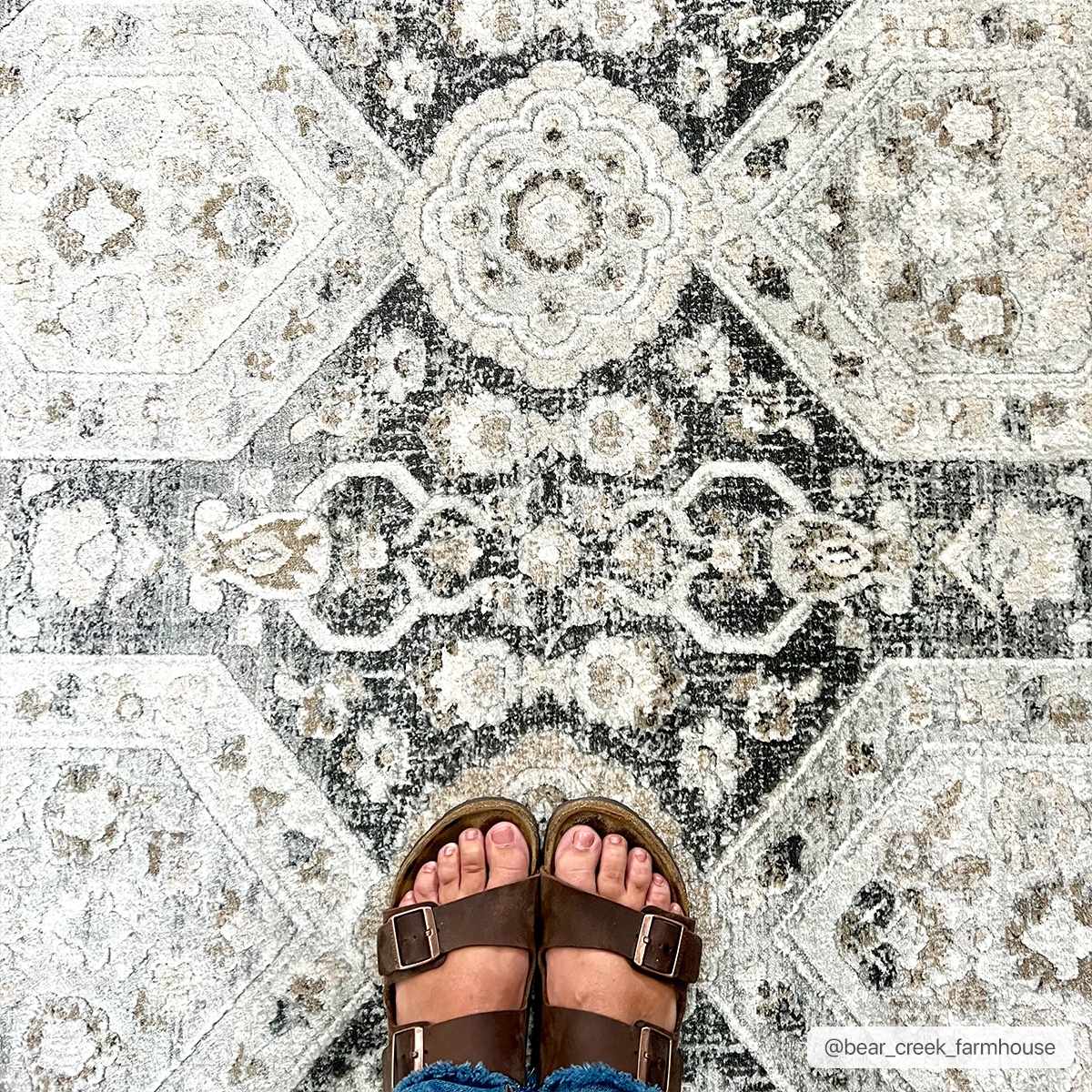 Minoa Area Rug - - Rugs