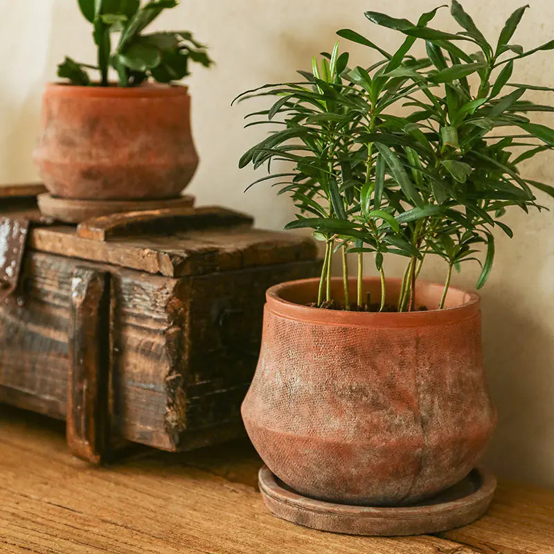 Decorative Red Terracotta Flowerpot - Kia Day Design