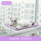 Suction Cup Hanging Cat Hammock - Kia Day Design