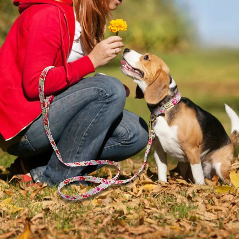 Printed Dog Collar and Leash Set