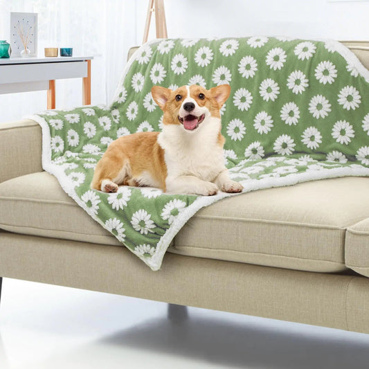 Due Felice Dog Blanket for Small Medium Large Dogs Fleece Cat Blankets for Indoor Cats Washable Fluffy Pet Bed Blanket Furniture Sofa Couch Cover Protector Kia Day Design