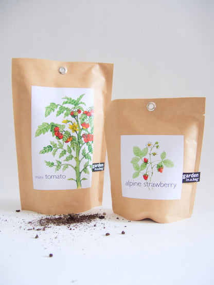 Build Your Own Custom Growing Gift Box with Garden Kit, Plant Kit, Organic Tea & Meditation Card of Your Choice - - Gift Box