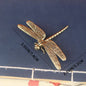 Copper Craft Brass Solid Owl Statue, Creative Animal Desk Ornaments, Desktop Home Decoration, Collectible, Cute Statue Ornament - dragonfly China Mainland -