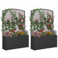 Set of 2 58 Inch Raised Garden Bed with Trellis and Wicker Planter Box- DirectDeals- {{Product type}}