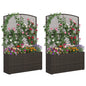 Set of 2 58 Inch Raised Garden Bed with Trellis and Wicker Planter Box- DirectDeals- {{Product type}}